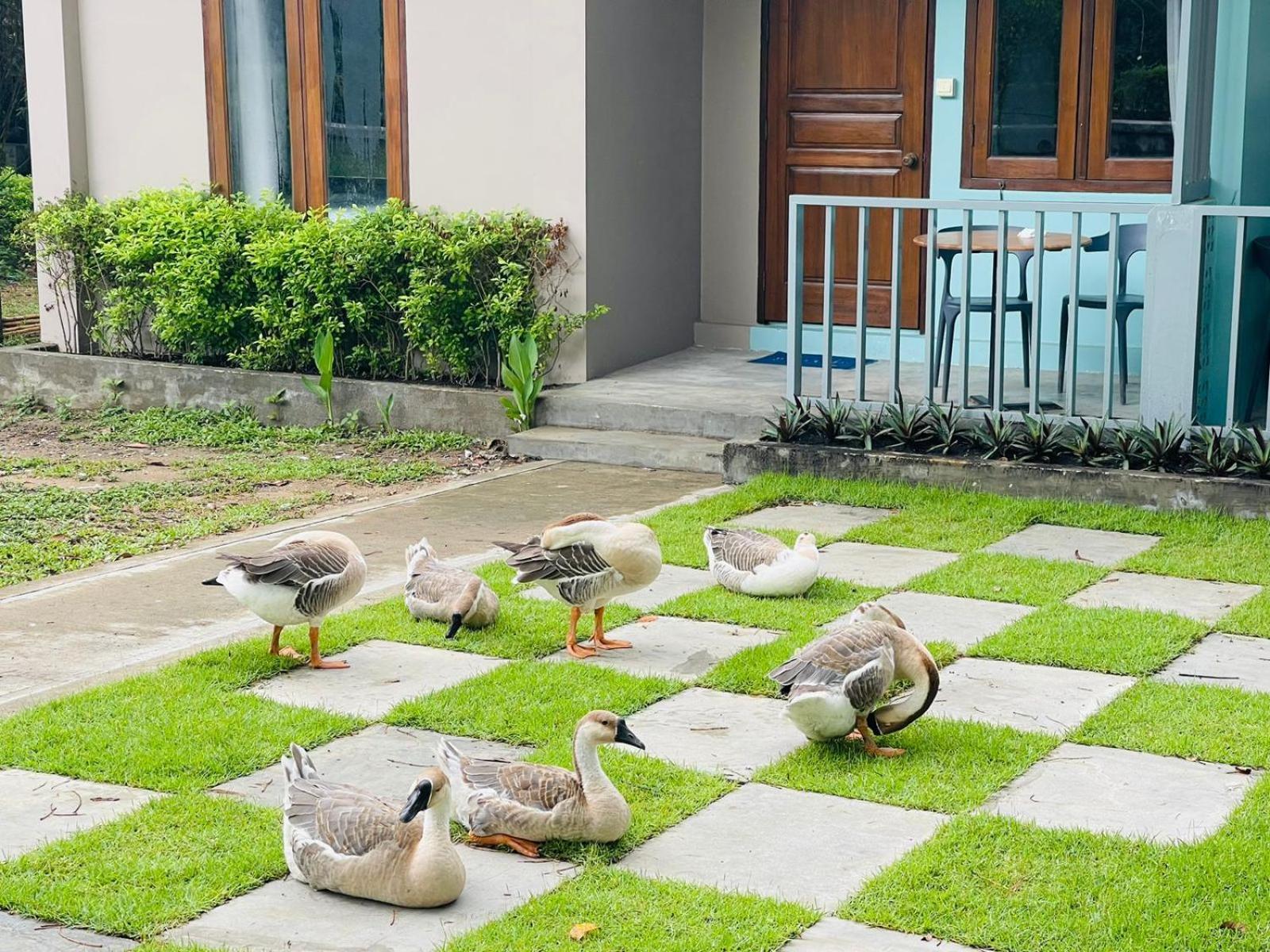 WH Hotel y Apartamento con servicio Thanlyin Exterior foto